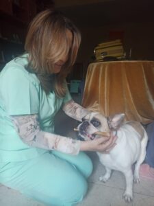 Lola (2)